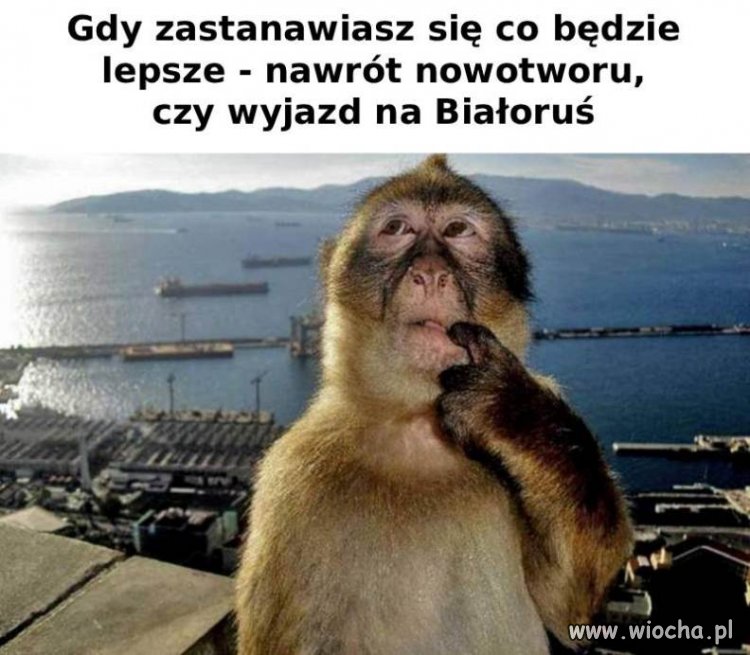 Wyjechać, czy chorować