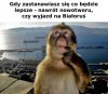 Wyjechać, czy chorować