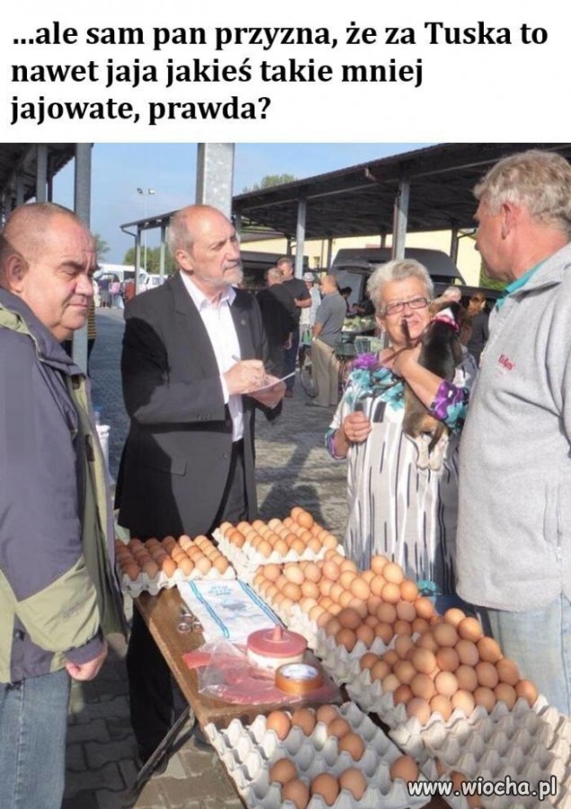 Cyk pyk 
