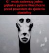 Zada filozoficzne pytanie
