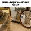 Jesteśmy z siebie dumni
