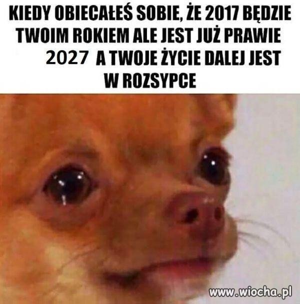 Co mogę powiedzieć?