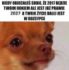 Co mogę powiedzieć?
