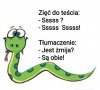 Jest żmija?