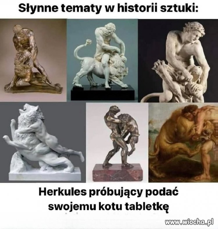 Zawsze tak to wygląda