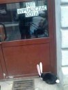Nie wpuszczać kota