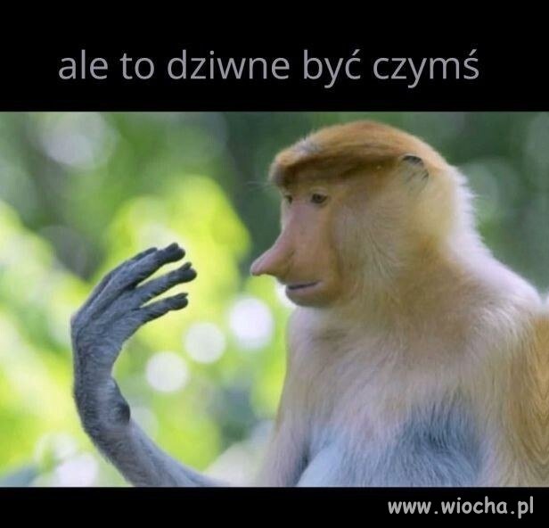 Czy to wszystko jest prawdziwe?