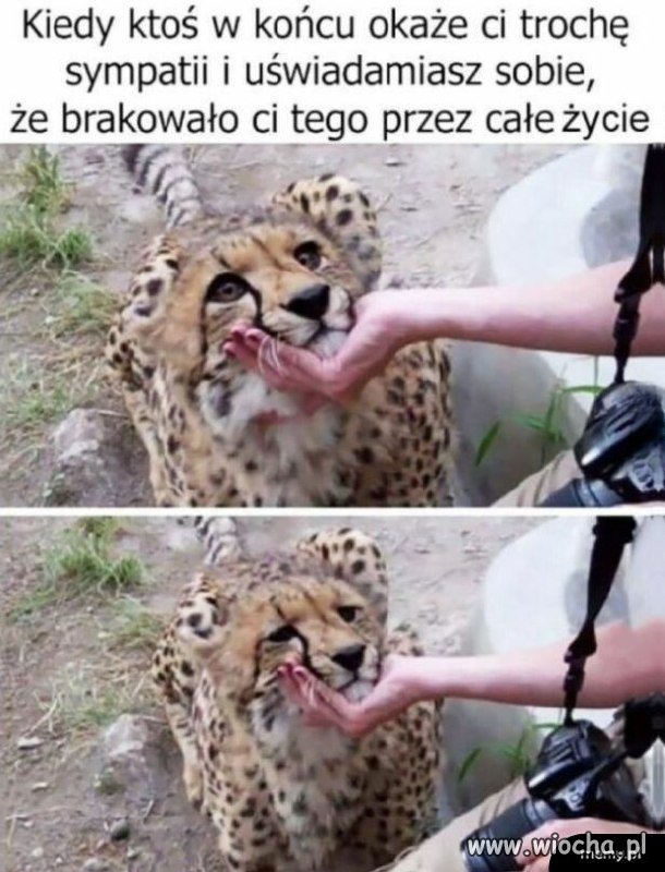 W końcu trochę sympatii