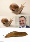 Opis poszedł do notariusza,