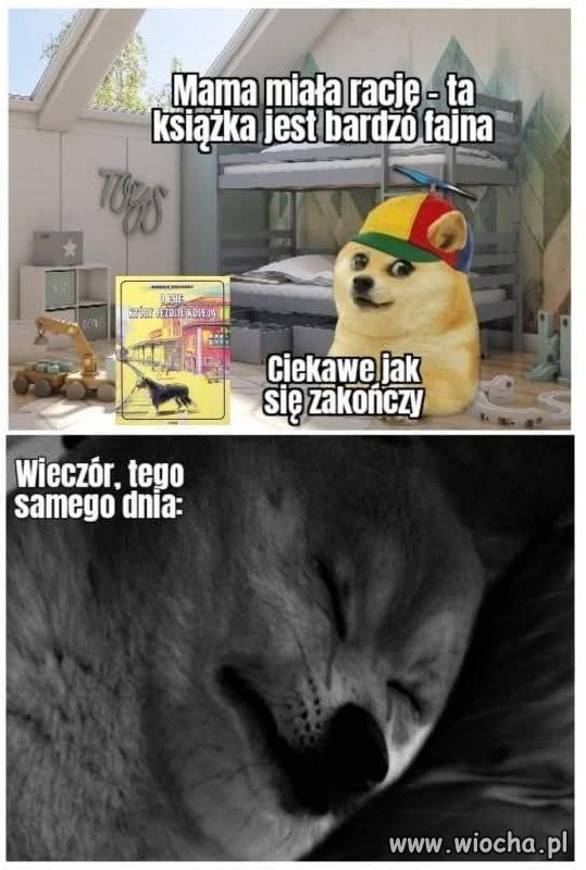 Najsmutniejsza książka ever?