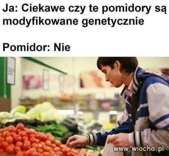 Sprawdzam pomidora