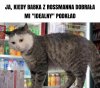 "Idealny ten podkład"