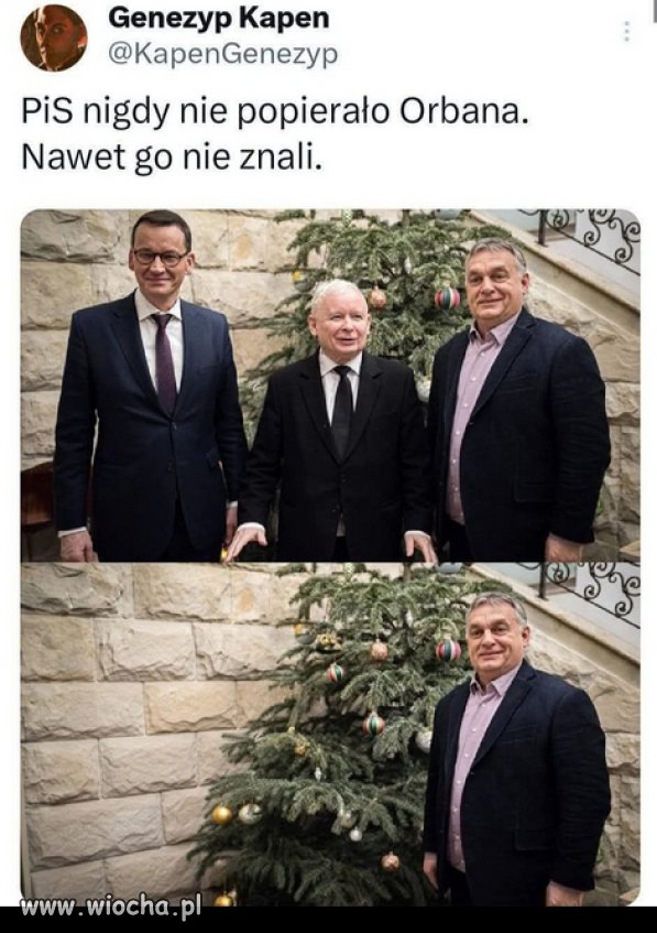 A kto to jest Orban? PIS TO STAN UMYSŁU, CHOREGO UMYSŁU