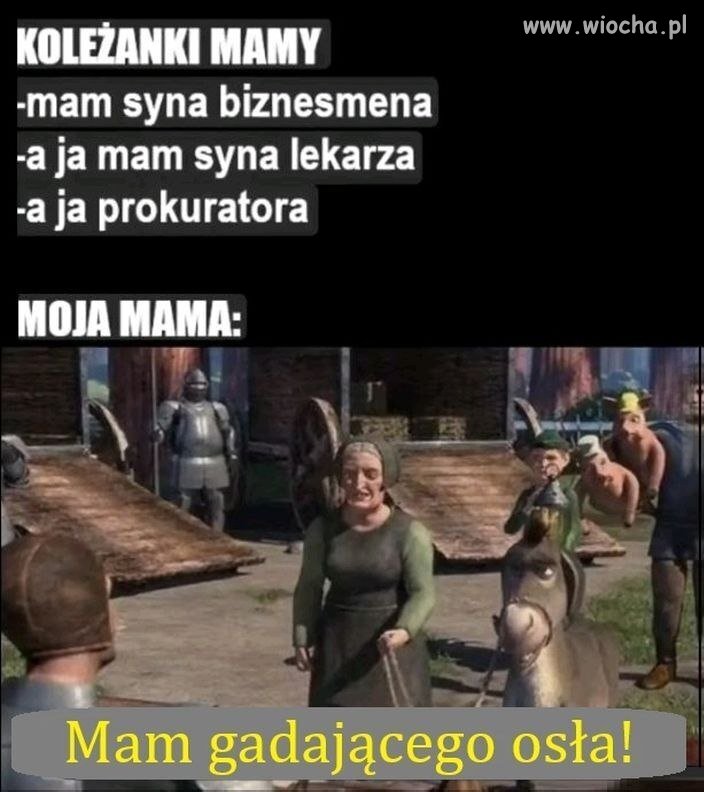 Przynajmniej ma gadane