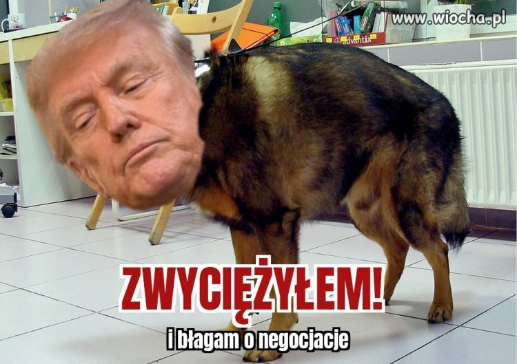 I tak to wygląda 