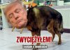 I tak to wygląda 