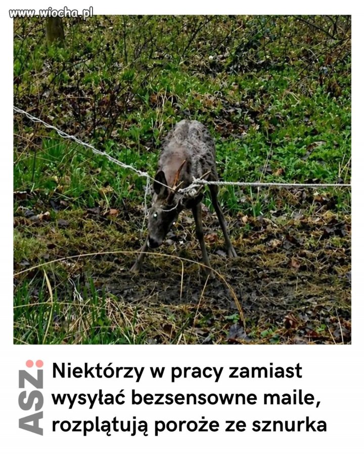 No i to jest przydatna robota!