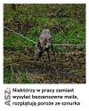 No i to jest przydatna robota!
