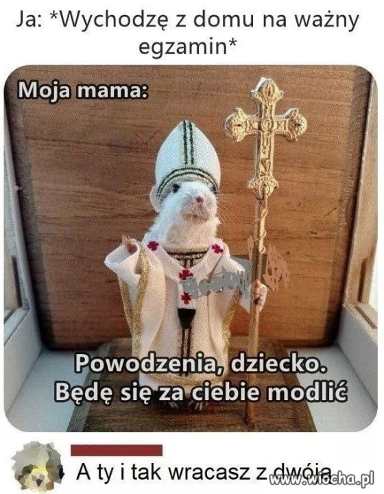 Mama słabo się modliła