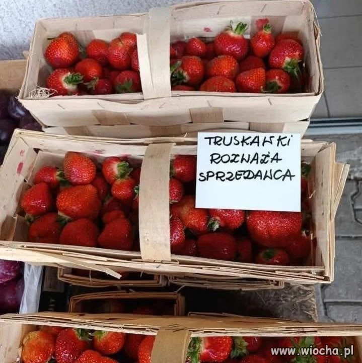 Filozoficzny sprzedawca