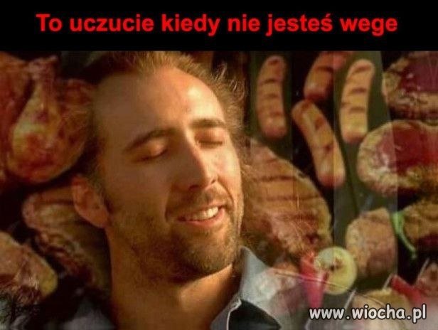 To uczucie kiedy nie jesteś wege