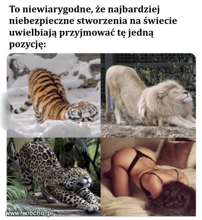 Tak się zastanawiam 