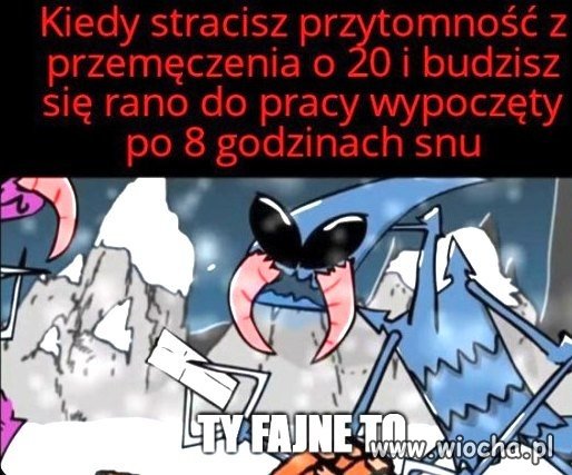 Wszystko gra