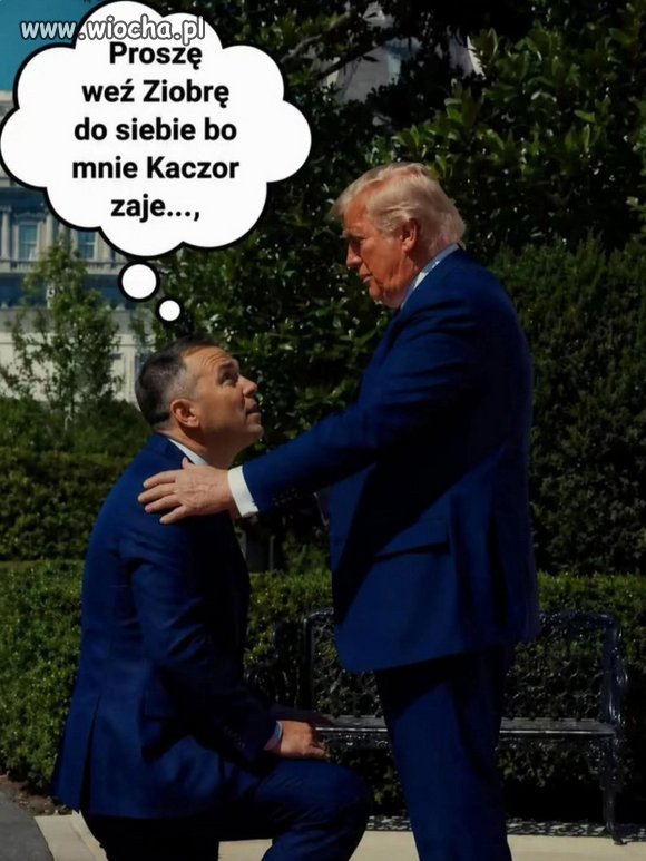Odważny Alfons