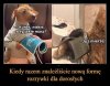 Na każdej polskiej imprezie
