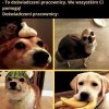 Doświadczeni pracownicy nie mają pojęcia co się dzieje