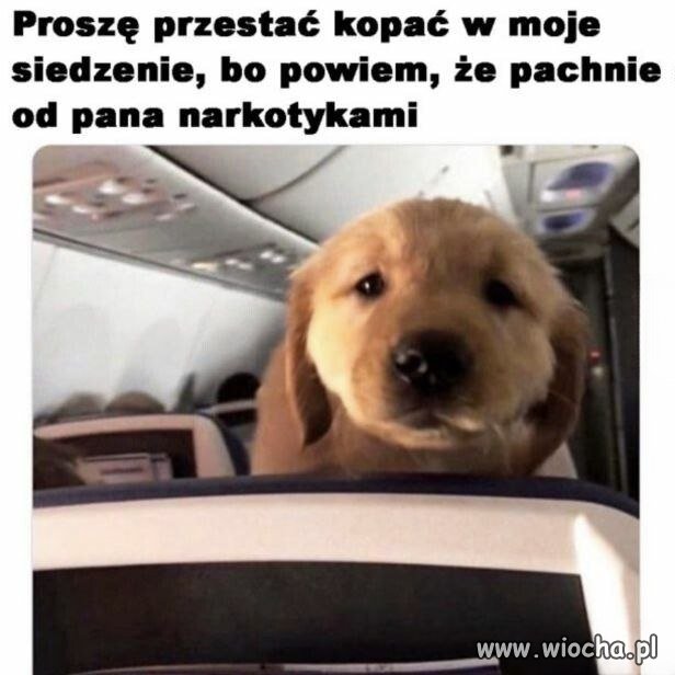 Proszę przestać kopać w moje krzesło