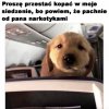 Proszę przestać kopać w moje krzesło