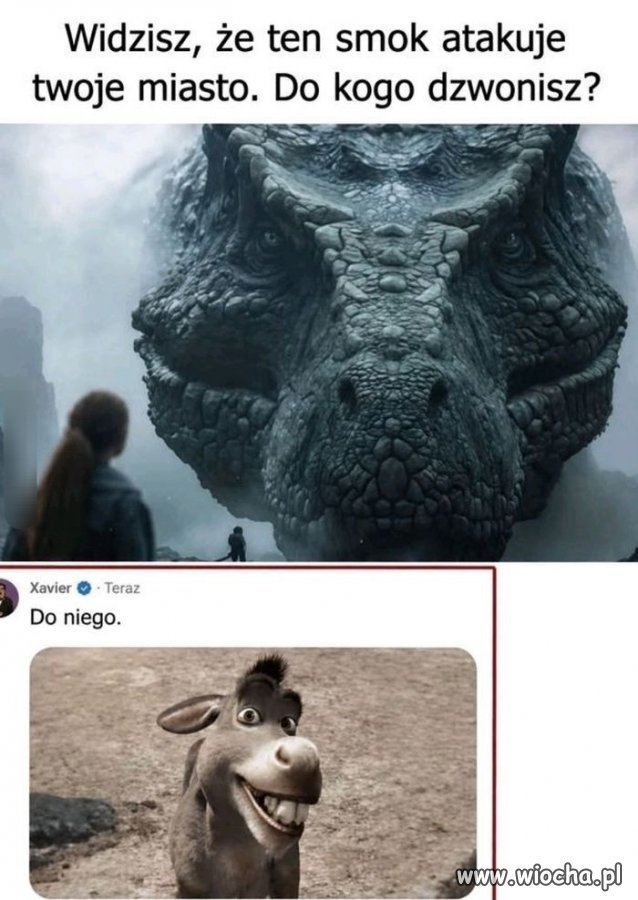 Aaa ty jesteś smoczycą
