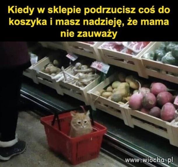 Co to jest?