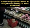 Co to jest?