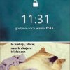Zwłaszcza w poniedziałkowe poranki