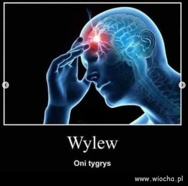 Wylew oni tygrys