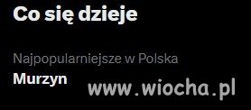 Polska na X żyje własnym życiem