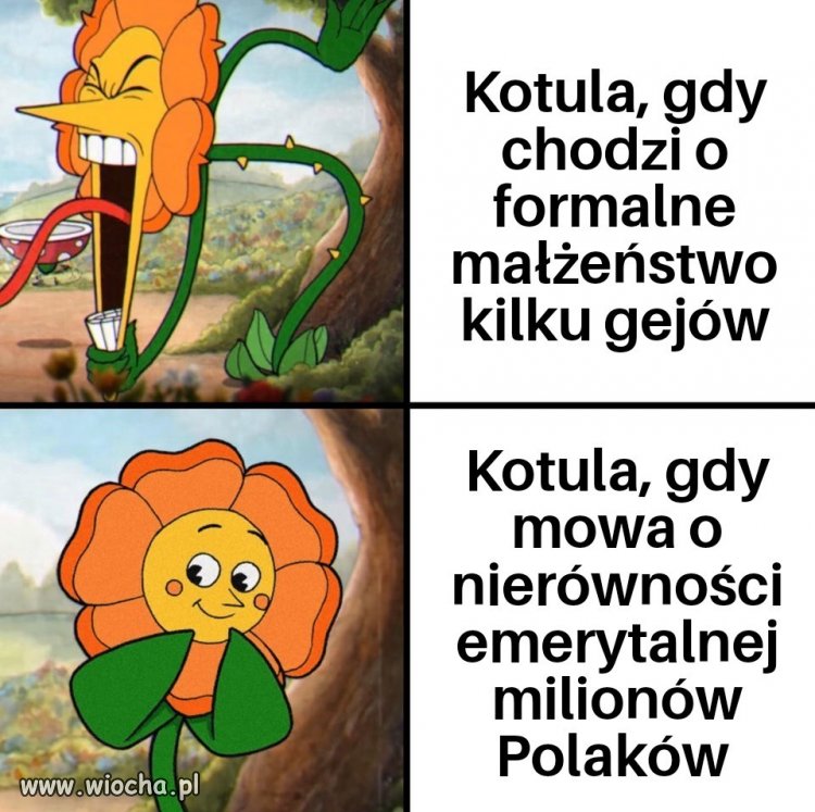 Fasadowa pozorna równość w zacofanej Polsce 