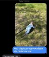Wyprowadził dziecko na spacer