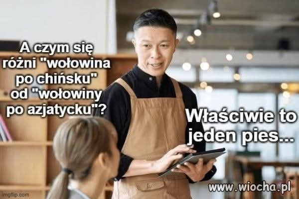 Właściwie to jeden pies