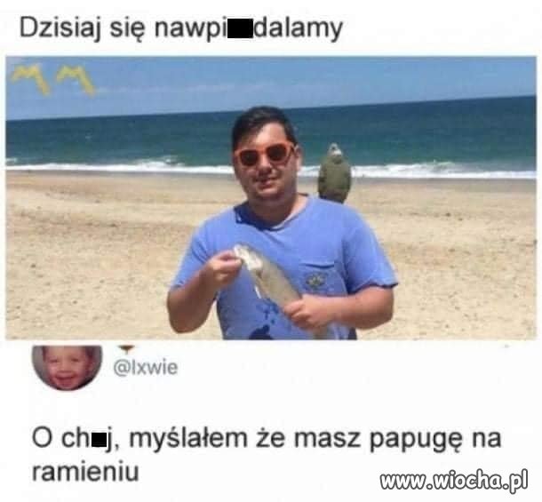 Myślałem, że masz papugę na ramieniu