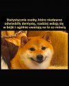 Dentysta naprawi zęby za miliony
