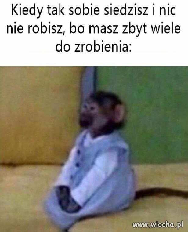Kiedy tak sobie siedzisz i nic nie robisz