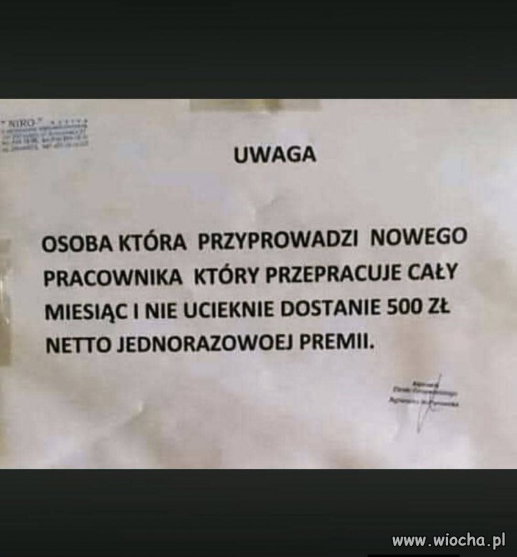 Kto przyniesie, ten zyska