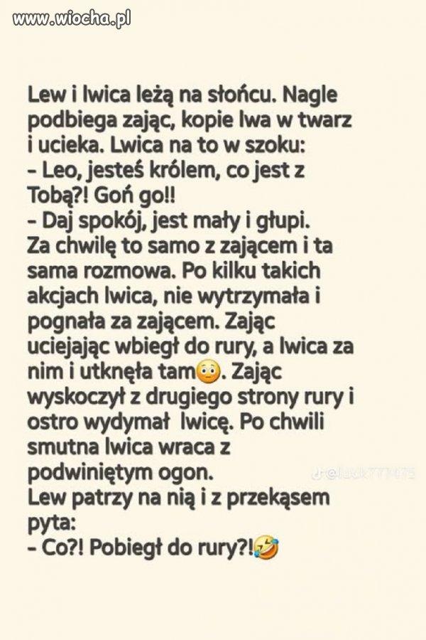 ...a PIS-cały czas nas tak dyma