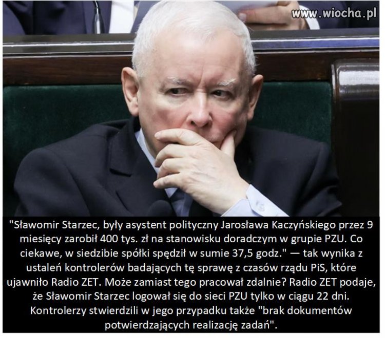 Życie prawaków i ich lody.