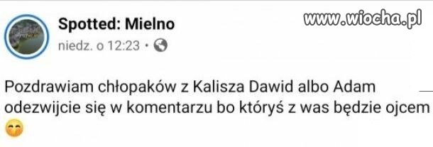 Dawid albo Adam z Kalisza