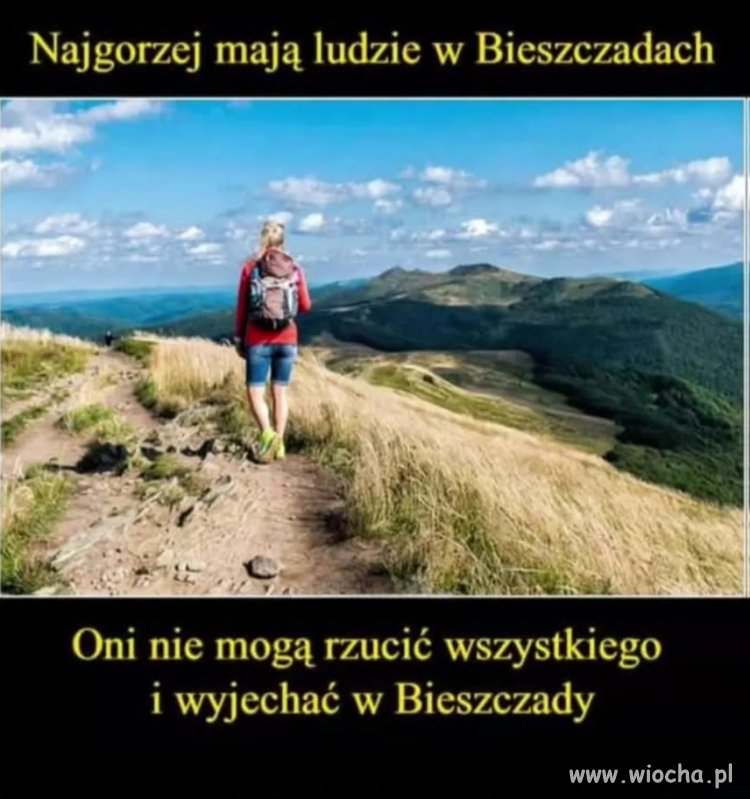 No właśnie, gdzie oni wyjeżdżają?