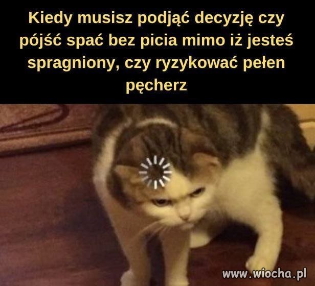 Spragnienie czy pełen pęcherz?